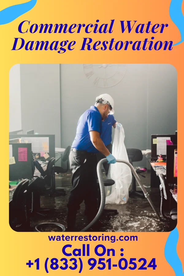 Commercial Water Damage Restoration in Awendaw, SC