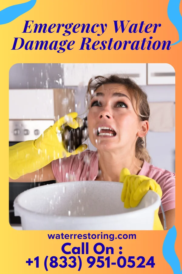Emergency Water Damage Restoration in Awendaw, SC
