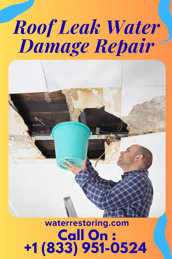 Roof Leak Water Damage Repair in Awendaw, SC